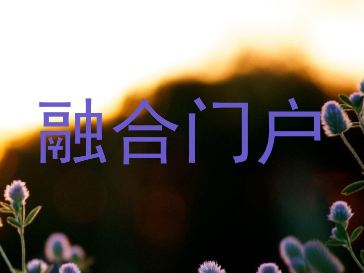 综合信息门户