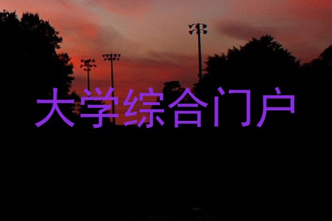 大学综合门户