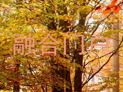 融合门户