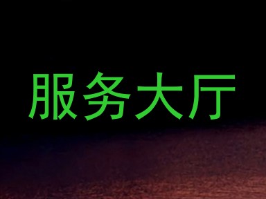 服务大厅