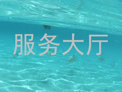 服务大厅
