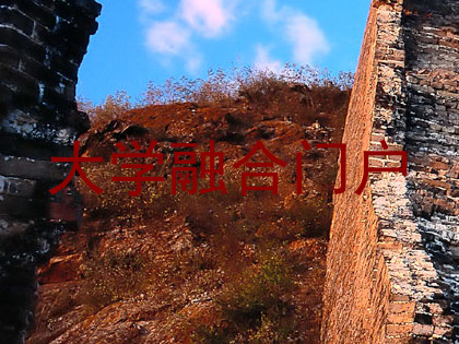 大学融合门户