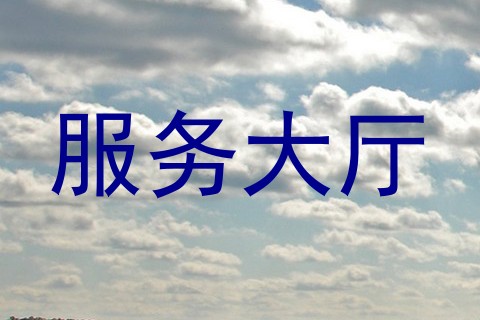 服务大厅