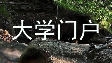 大学门户