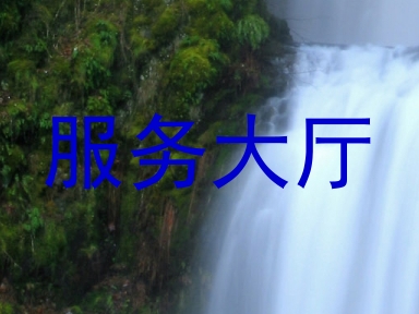 服务大厅