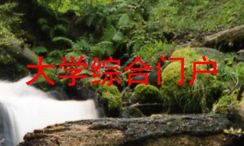 大学综合门户