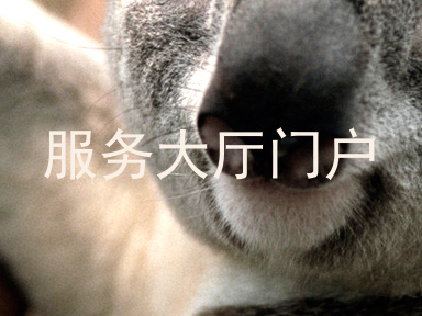 服务大厅门户
