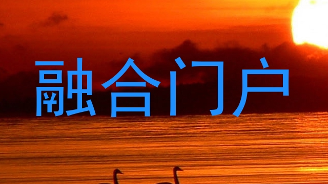 融合门户