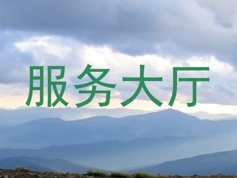 服务大厅