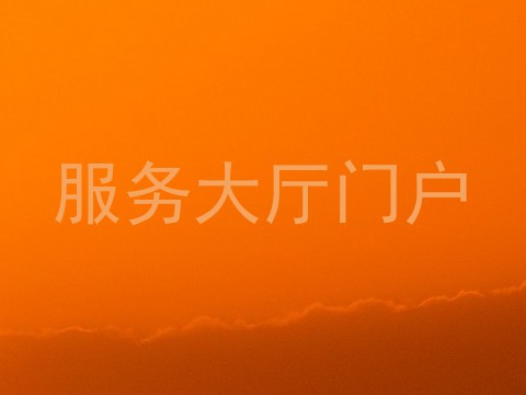 服务大厅门户