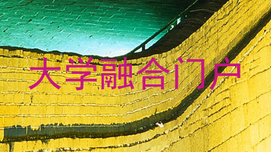 大学融合门户
