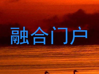 融合门户