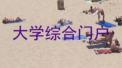 大学综合门户
