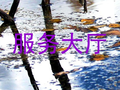 服务大厅