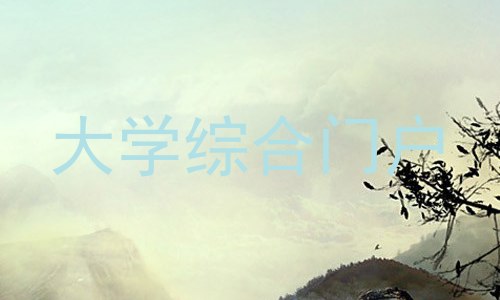 大学综合门户