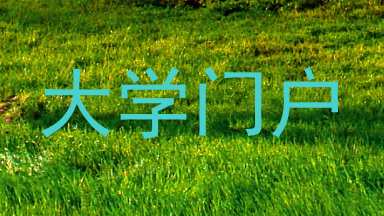 大学门户
