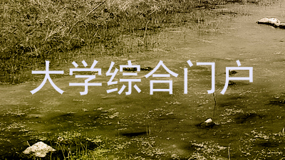 大学综合门户