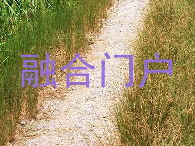 融合门户