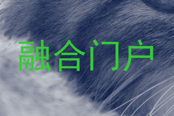 融合门户