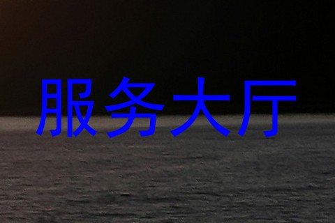 服务大厅