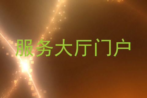 服务大厅门户