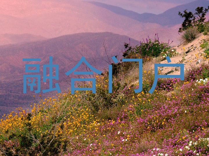 融合门户