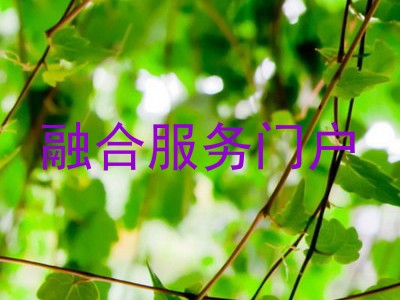 融合服务门户