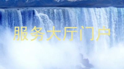 服务大厅门户