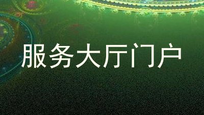 服务大厅门户