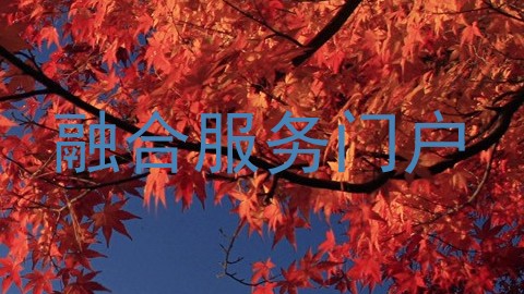 融合服务门户