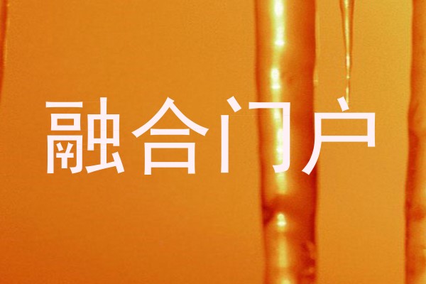 融合门户