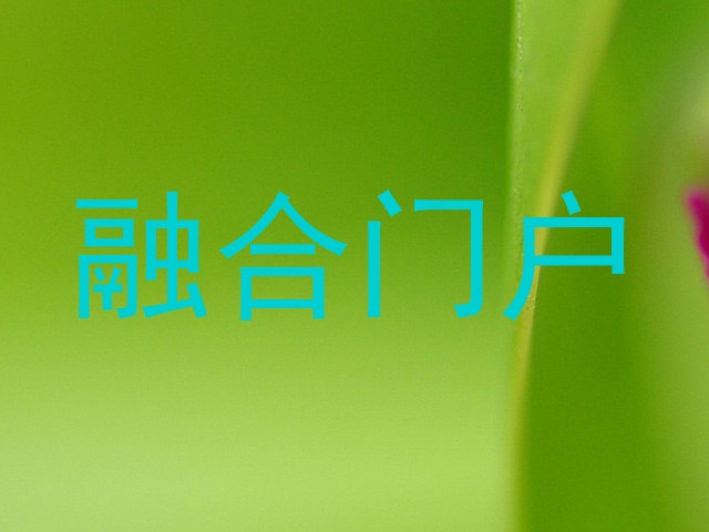融合门户