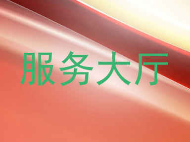 服务大厅