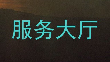 服务大厅
