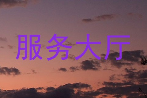 服务大厅