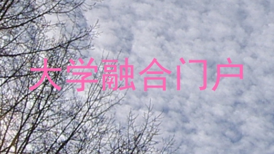 大学融合门户