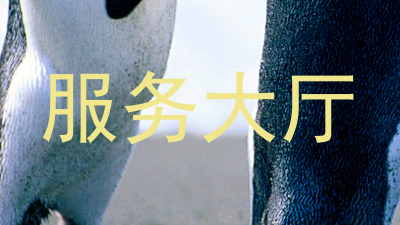 服务大厅