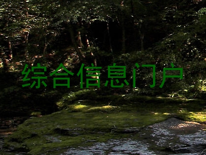 综合信息门户