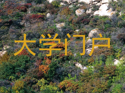 大学门户