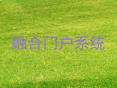 融合门户系统