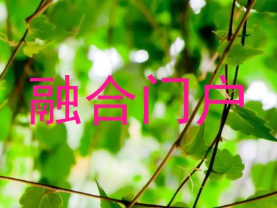 融合门户