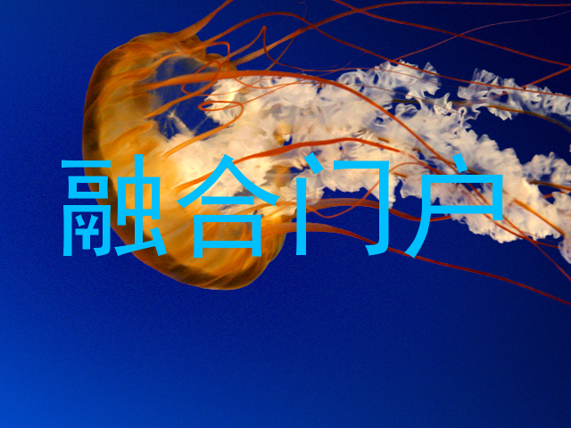 融合门户