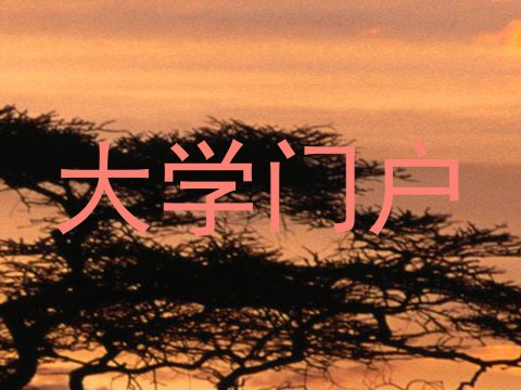 大学门户