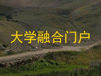 大学融合门户
