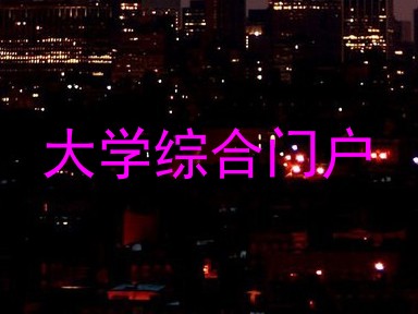 大学综合门户