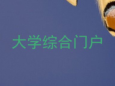 大学综合门户