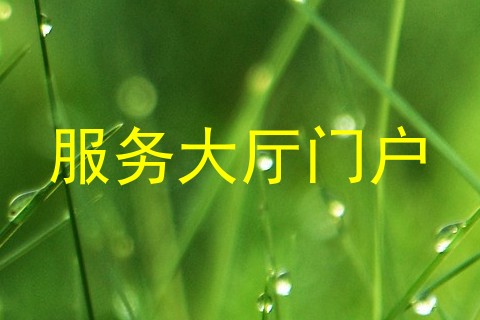 服务大厅门户