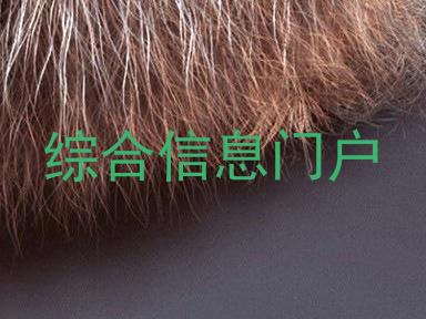综合信息门户