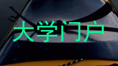 大学门户