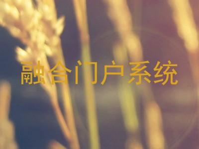 融合门户系统